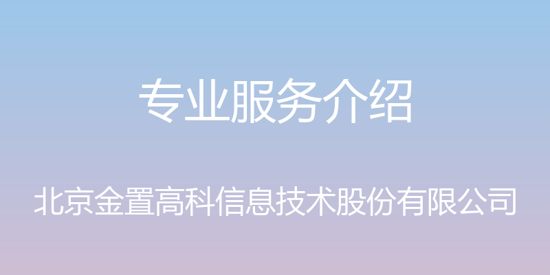 专业服务介绍 - 北京金置高科信息技术股份有限公司