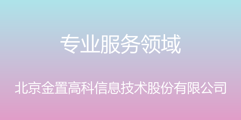 专业服务领域 - 北京金置高科信息技术股份有限公司